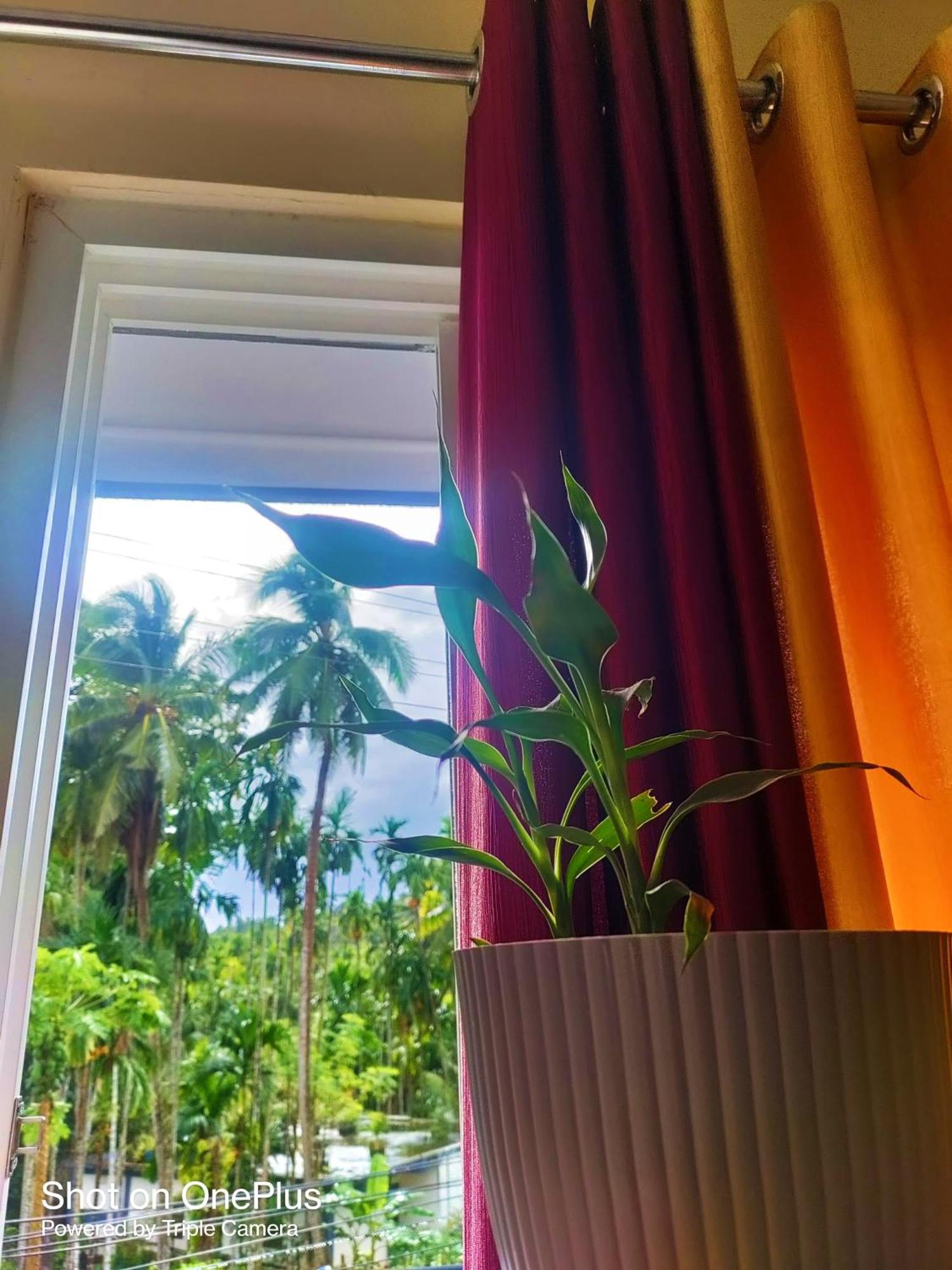 Hilton Garden Homestay Port Blair Exterior photo